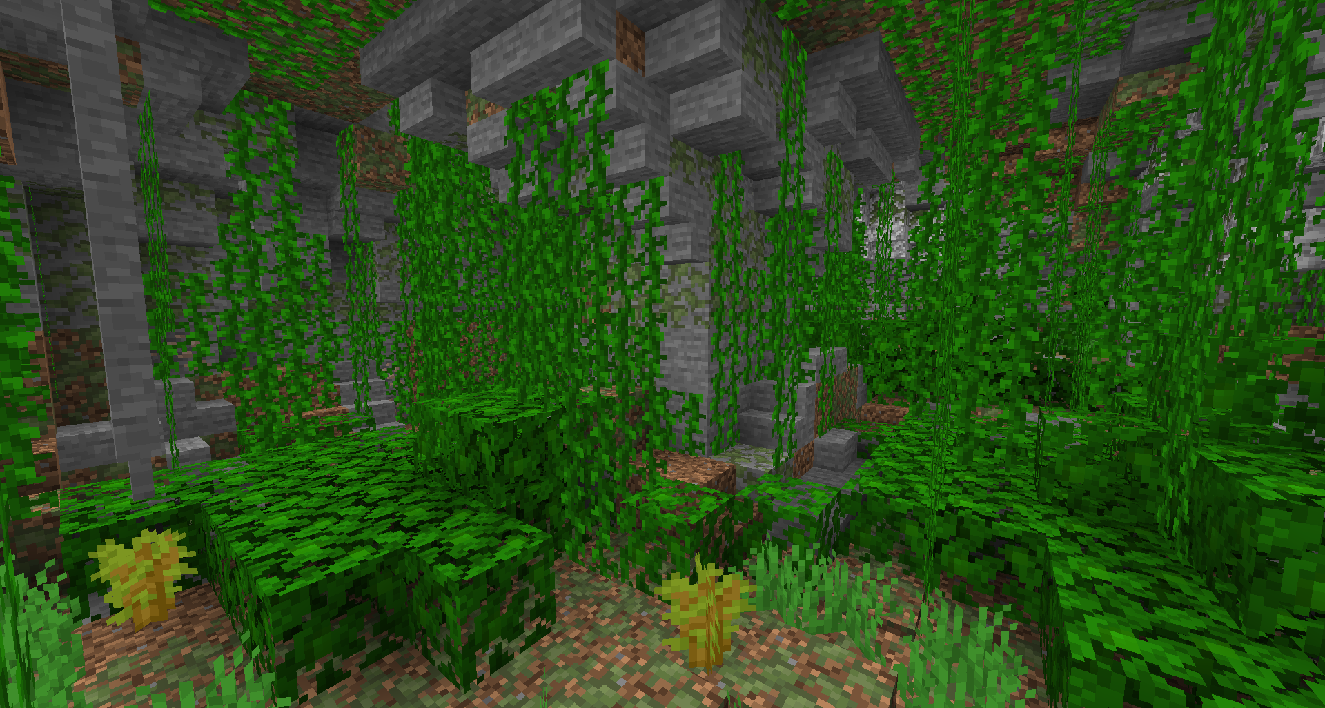 Subterranean Wilderness-第4张图片