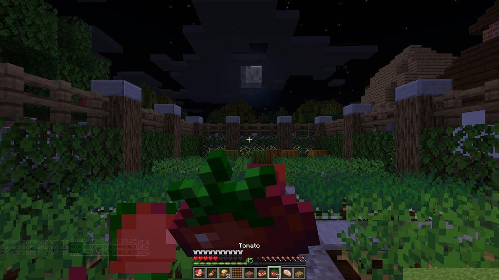Farmers-Delight-Mod-Screenshots-5.jpg