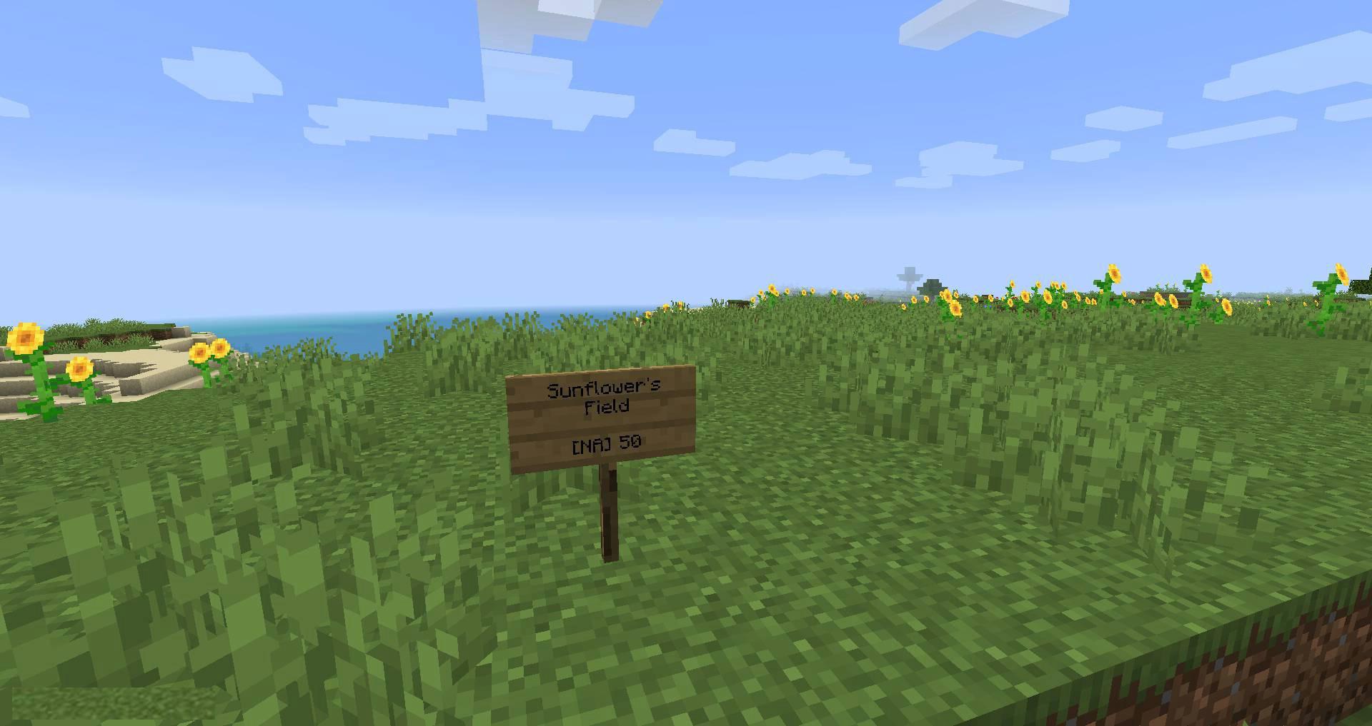 Named-Areas-mod-for-minecraft-02.jpg