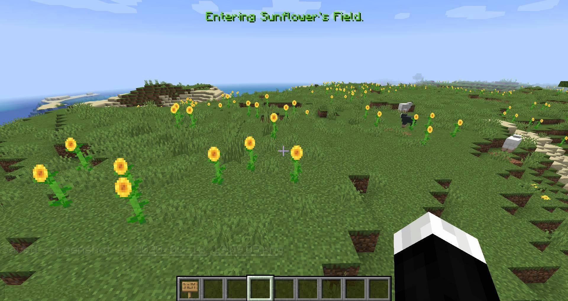 Named-Areas-mod-for-minecraft-04.jpg