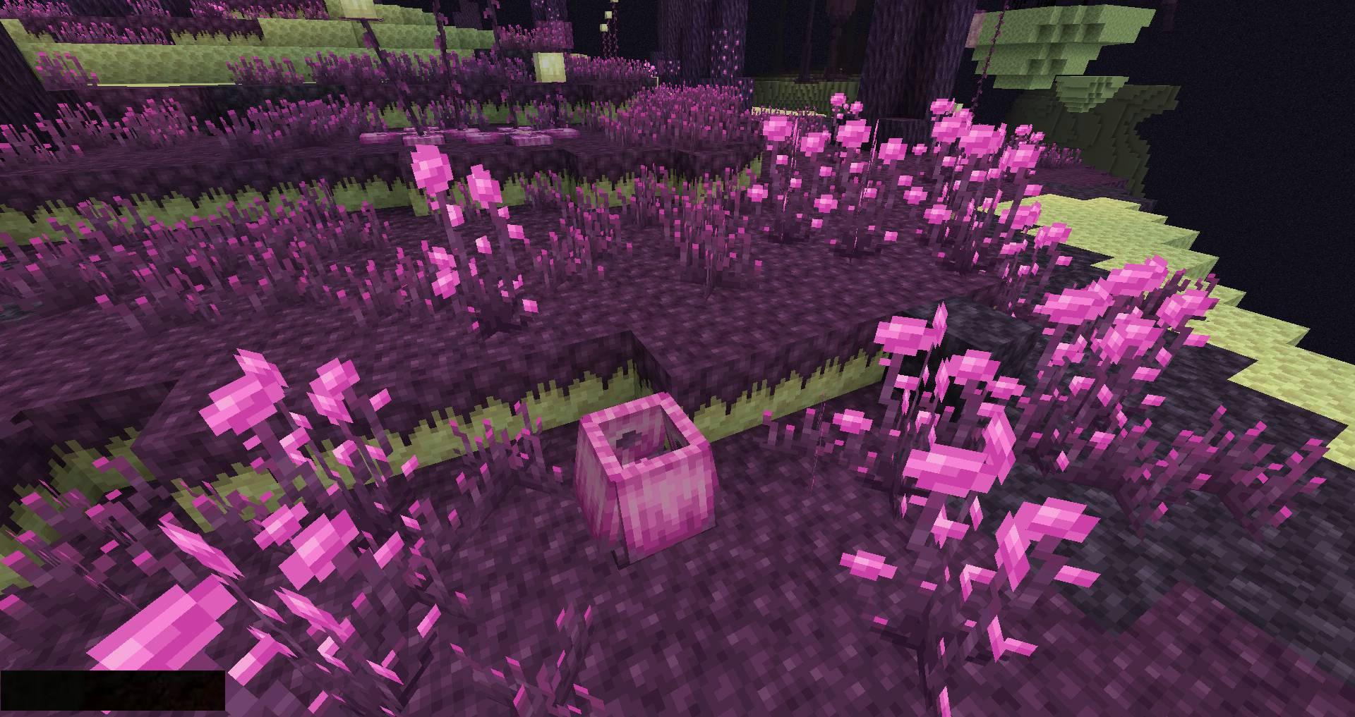 The-Endergetic-Expansion-mod-for-minecraft-03.jpg