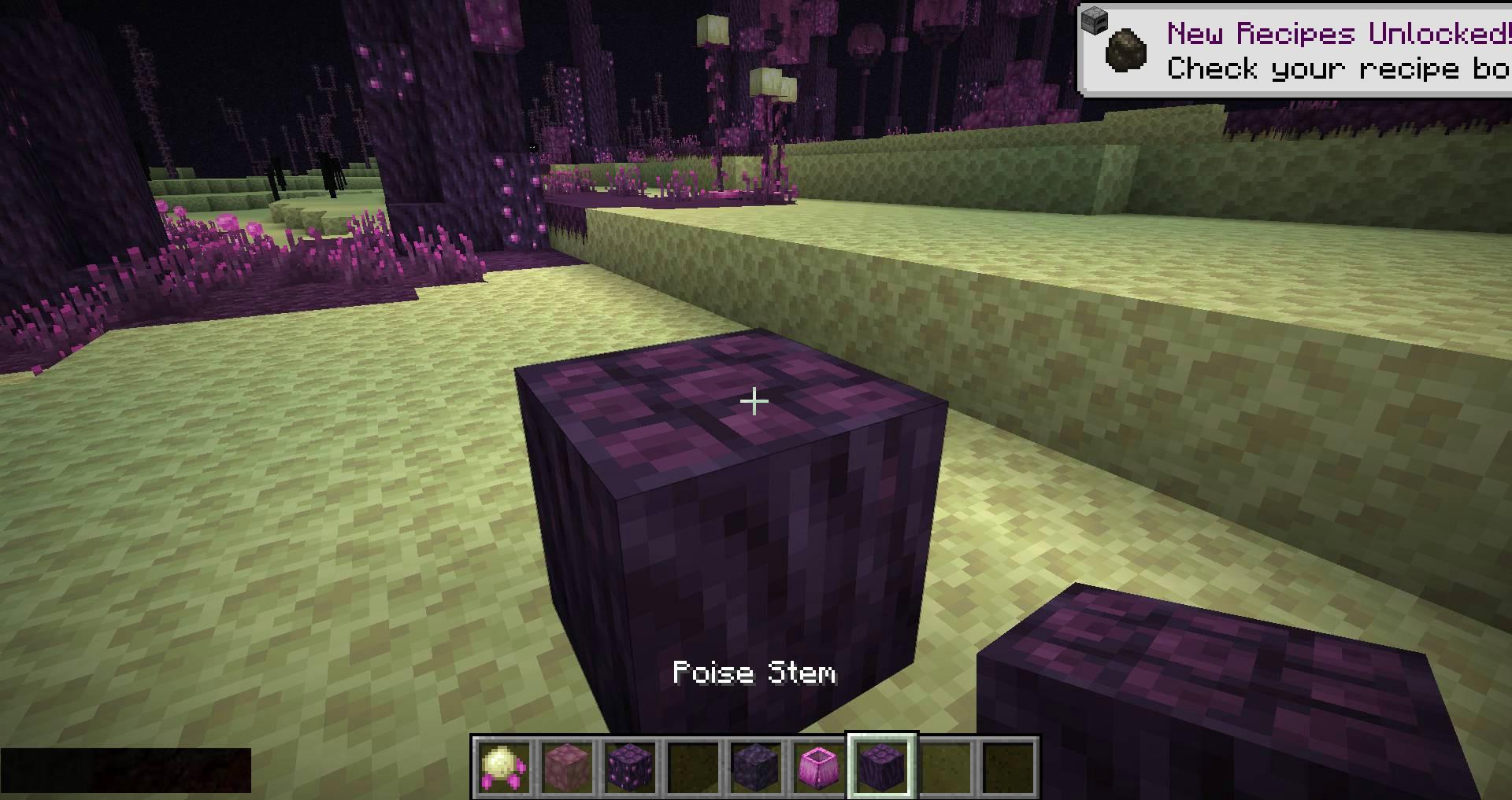 The-Endergetic-Expansion-mod-for-minecraft-06.jpg