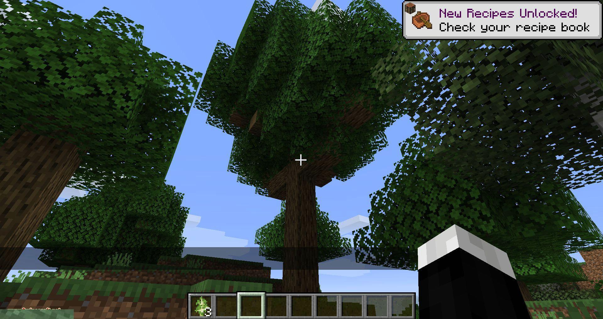 Trees-Do-Not-Float-mod-for-minecraft-08.jpg