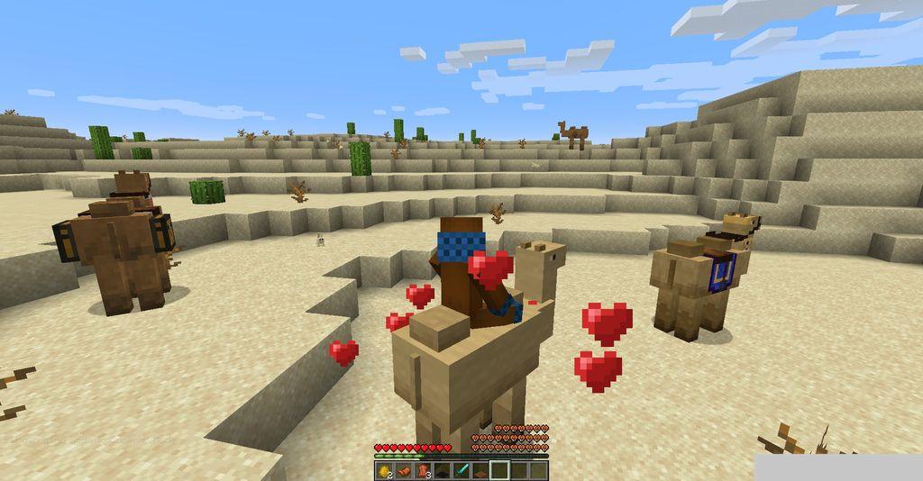 Camels-Mod-Screenshots-3.jpg