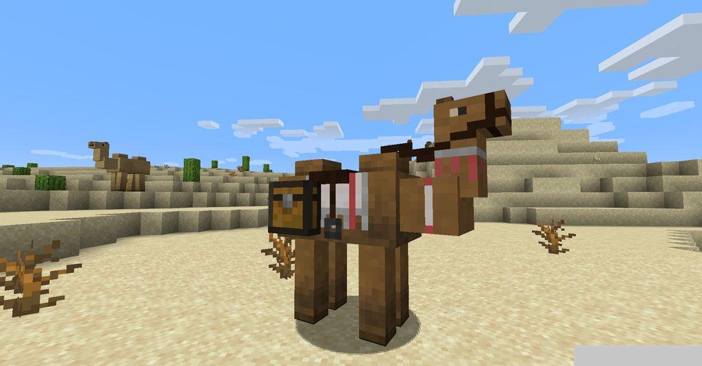 Camels-Mod-Screenshots-11.jpg