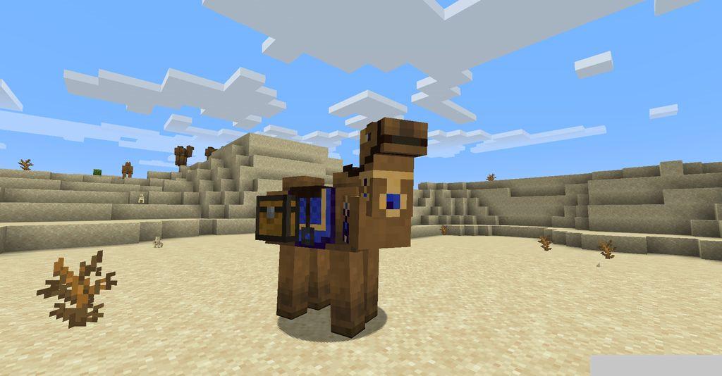 Camels-Mod-Screenshots-12.jpg