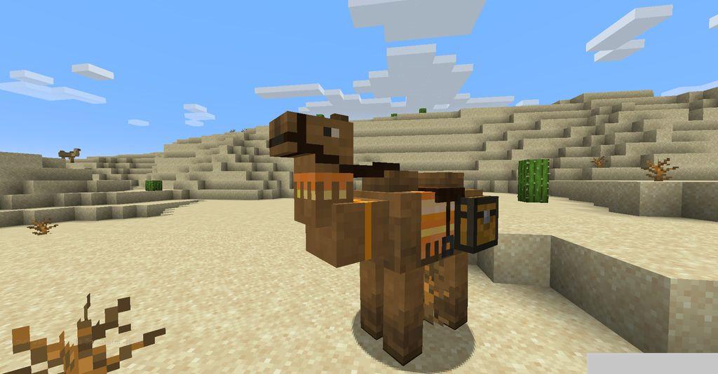 Camels-Mod-Screenshots-13.jpg