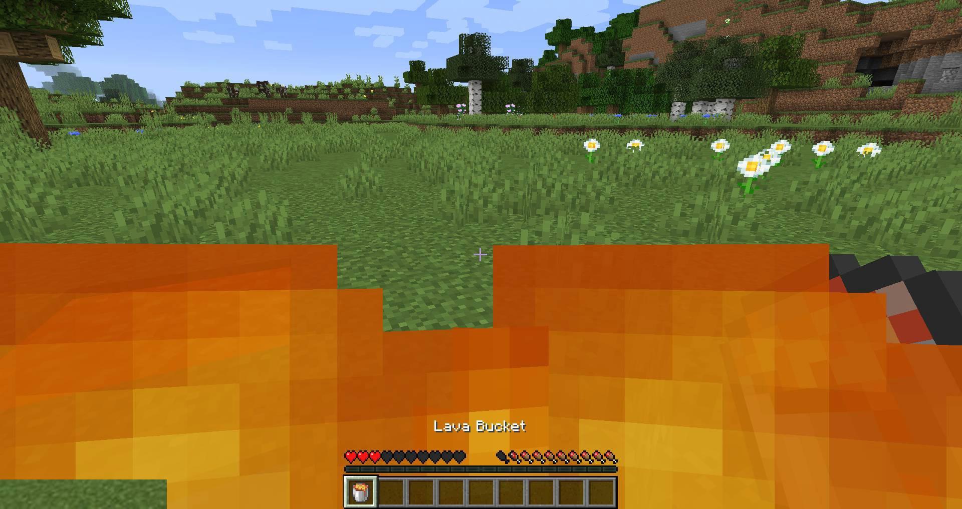 Hot-or-Not-mod-for-minecraft-09.jpg