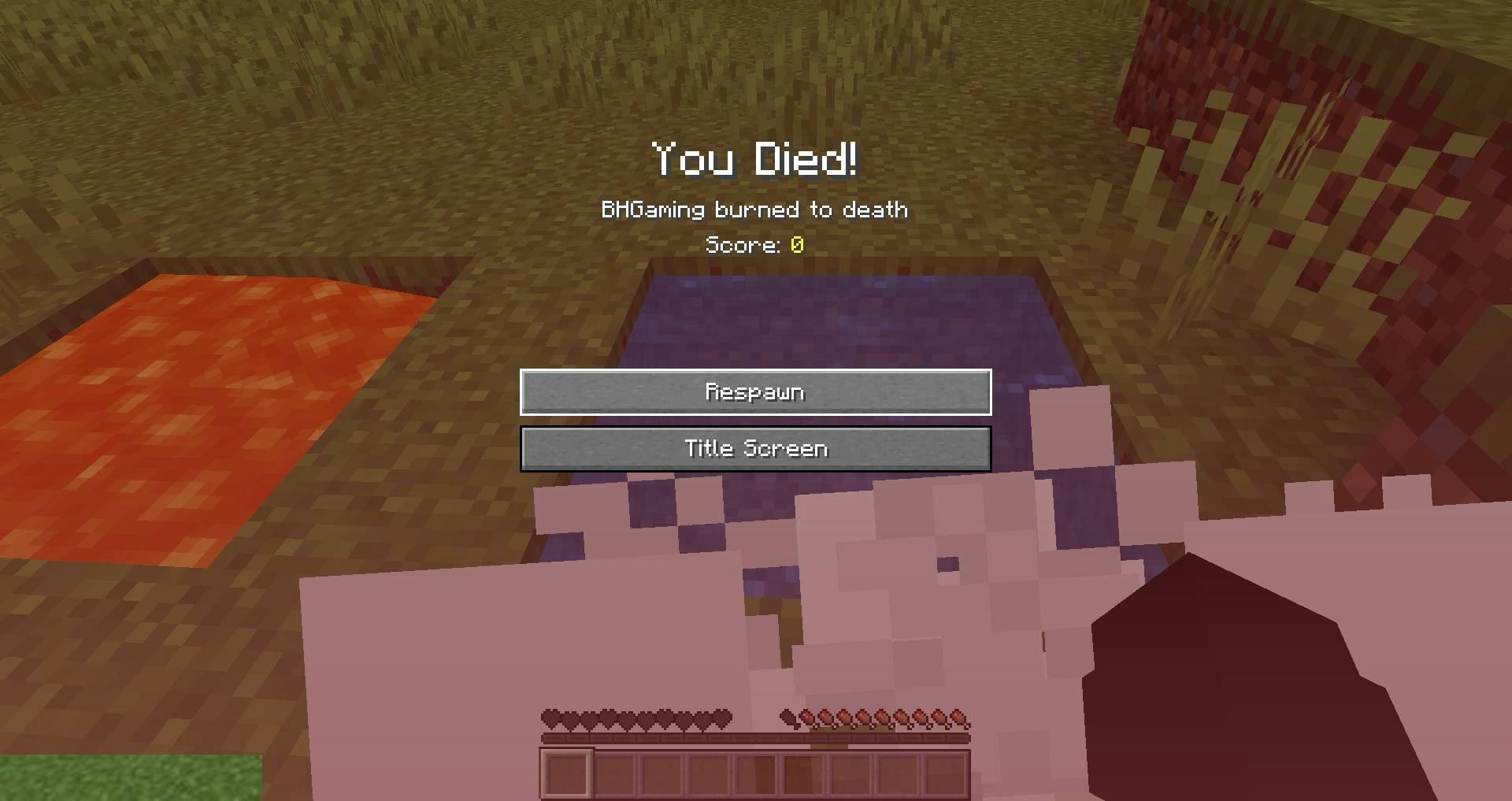 Hot-or-Not-mod-for-minecraft-10.jpg