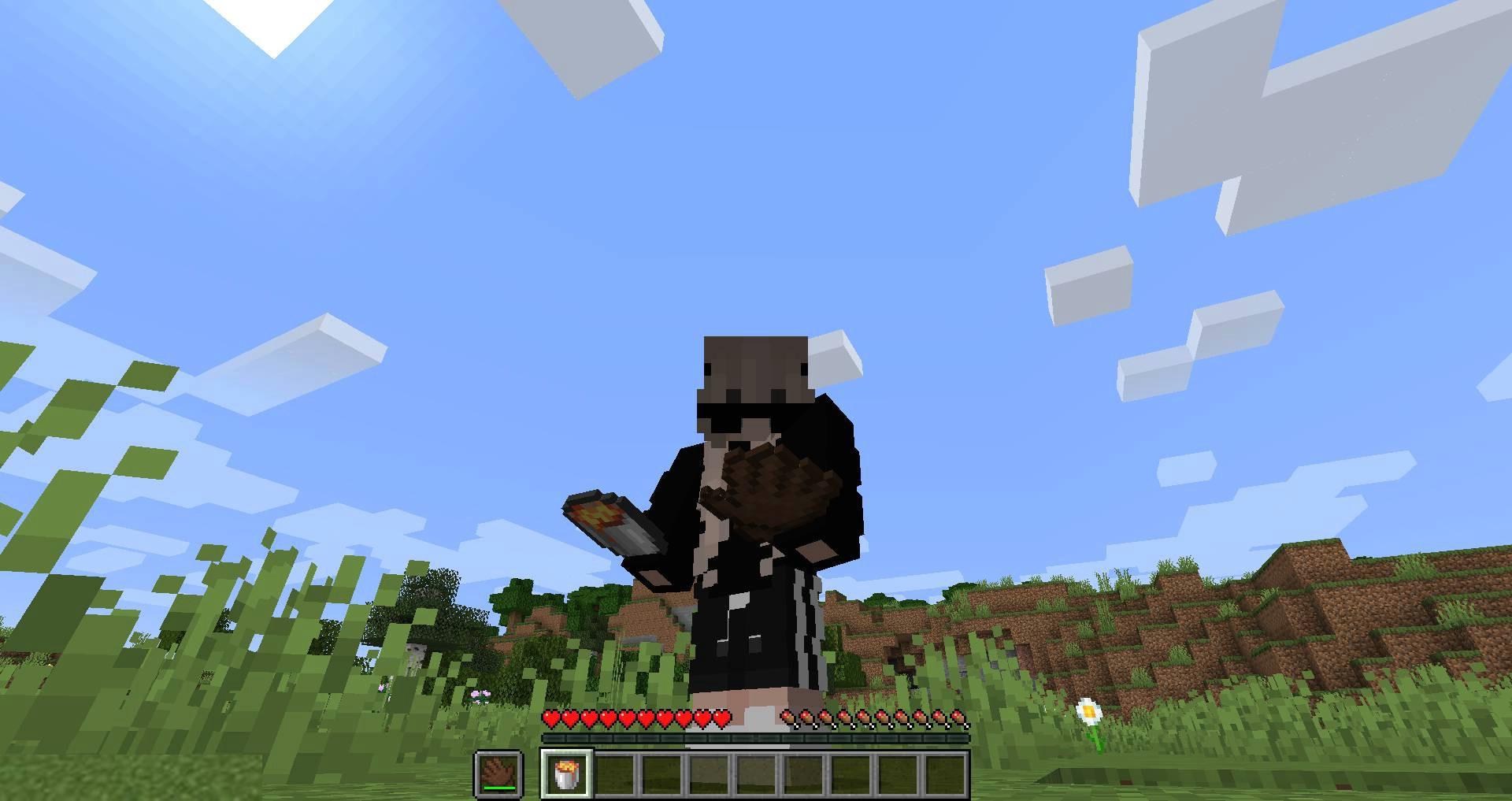 Hot-or-Not-mod-for-minecraft-12.jpg