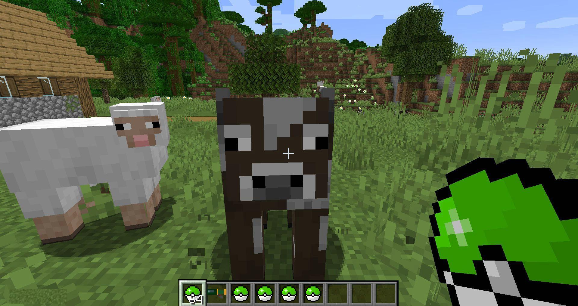 Mob-Catcher-mod-for-minecraft-11.jpg