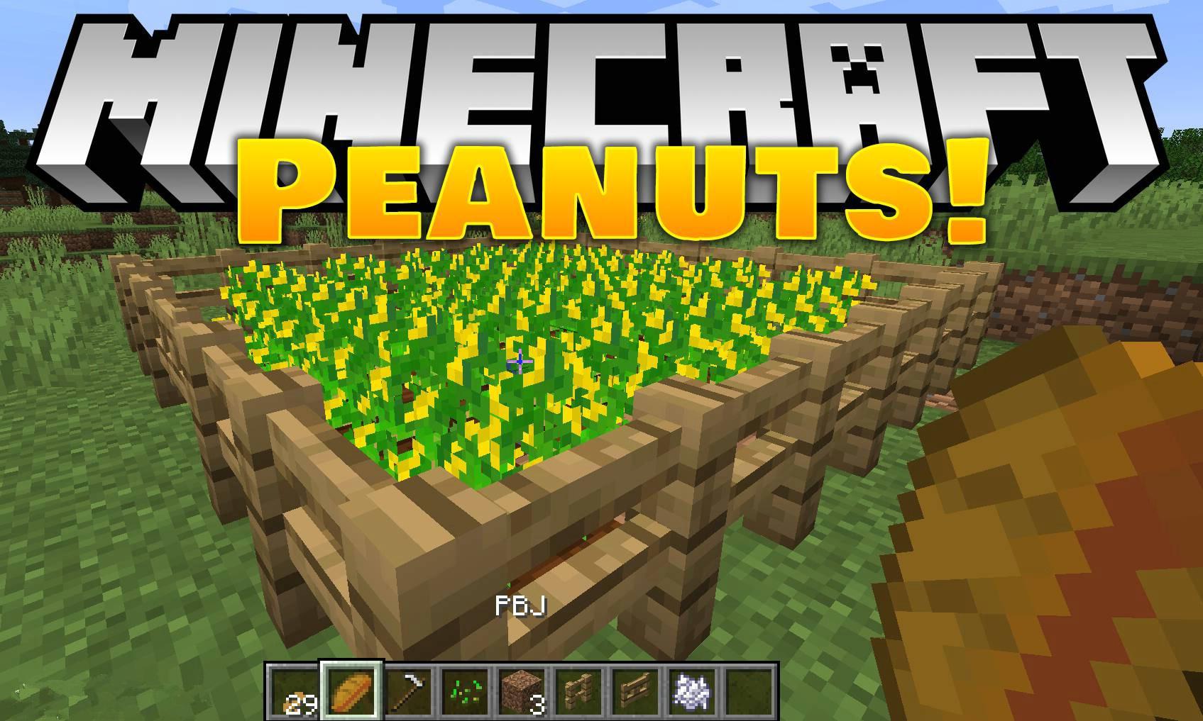 Peanuts-mod-for-minecraft-logo.jpg