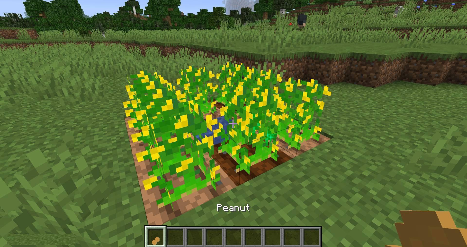 Peanuts-mod-for-minecraft-03.jpg