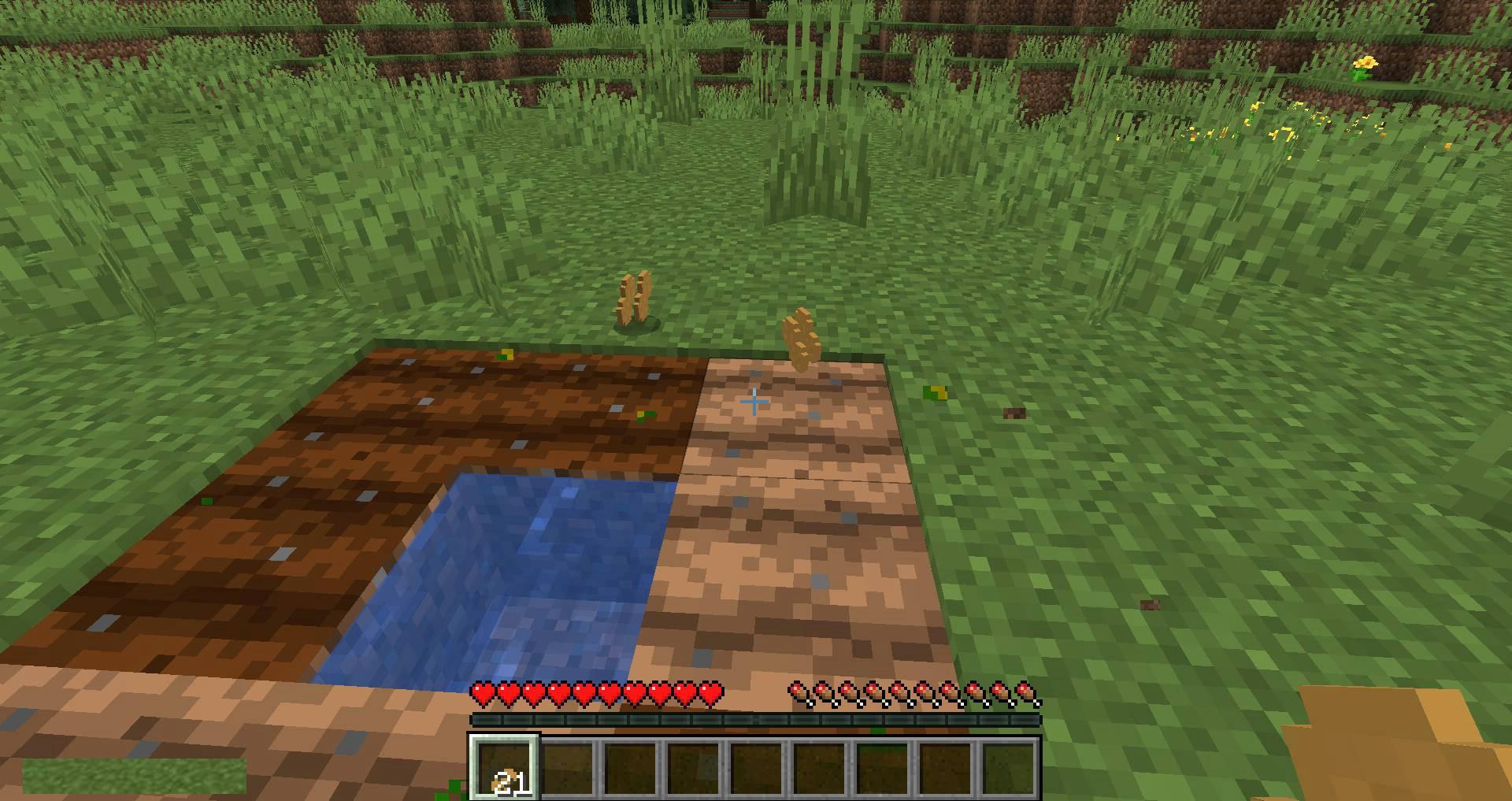 Peanuts-mod-for-minecraft-04.jpg
