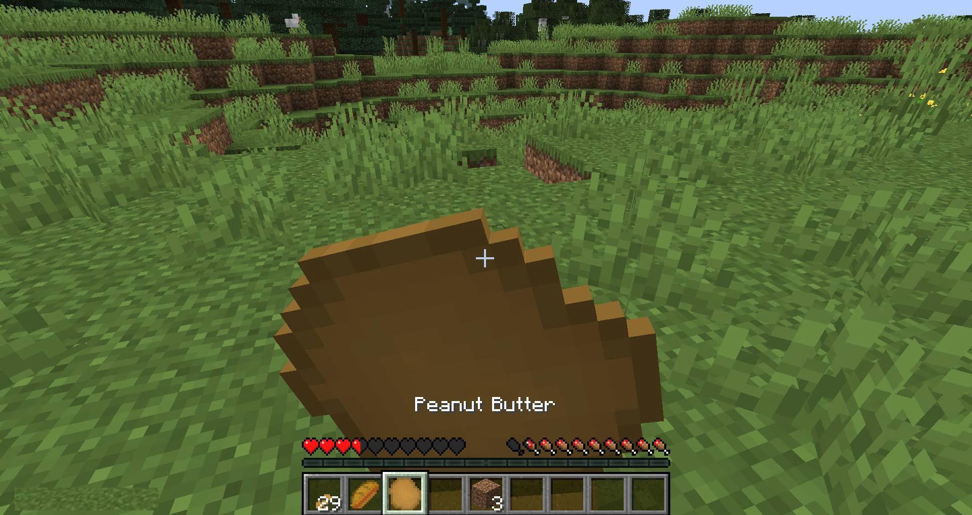 Peanuts-mod-for-minecraft-09.jpg