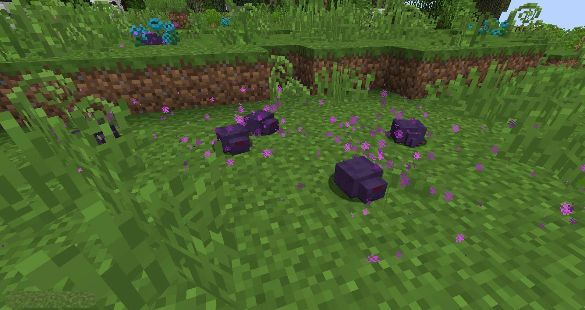 Friendly-Endermite-mod-for-minecraft-02.jpg