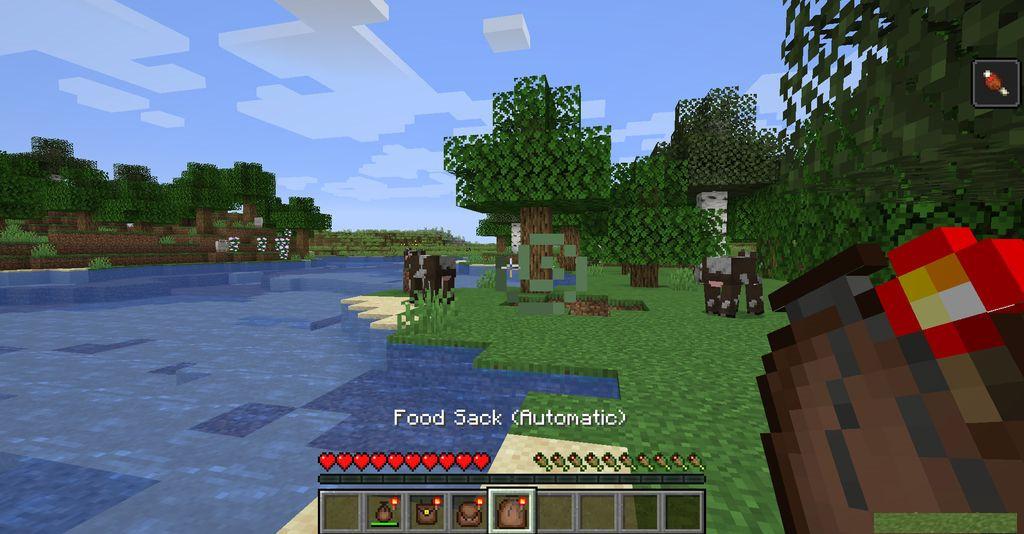 Food-Pouches-Mod-Screenshots-6.jpg