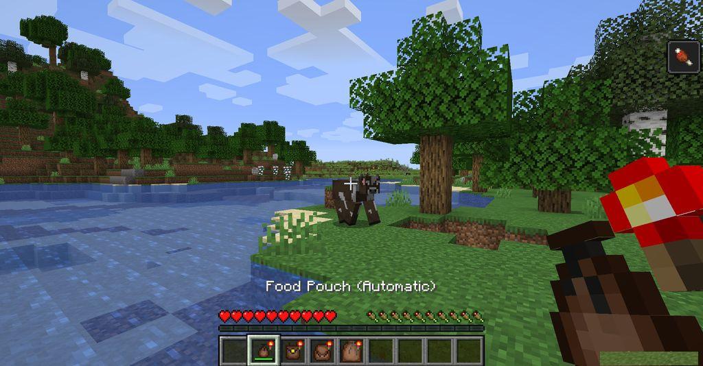 Food-Pouches-Mod-Screenshots-7.jpg