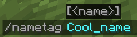 Name Tag Tweaks mod for minecraft 23