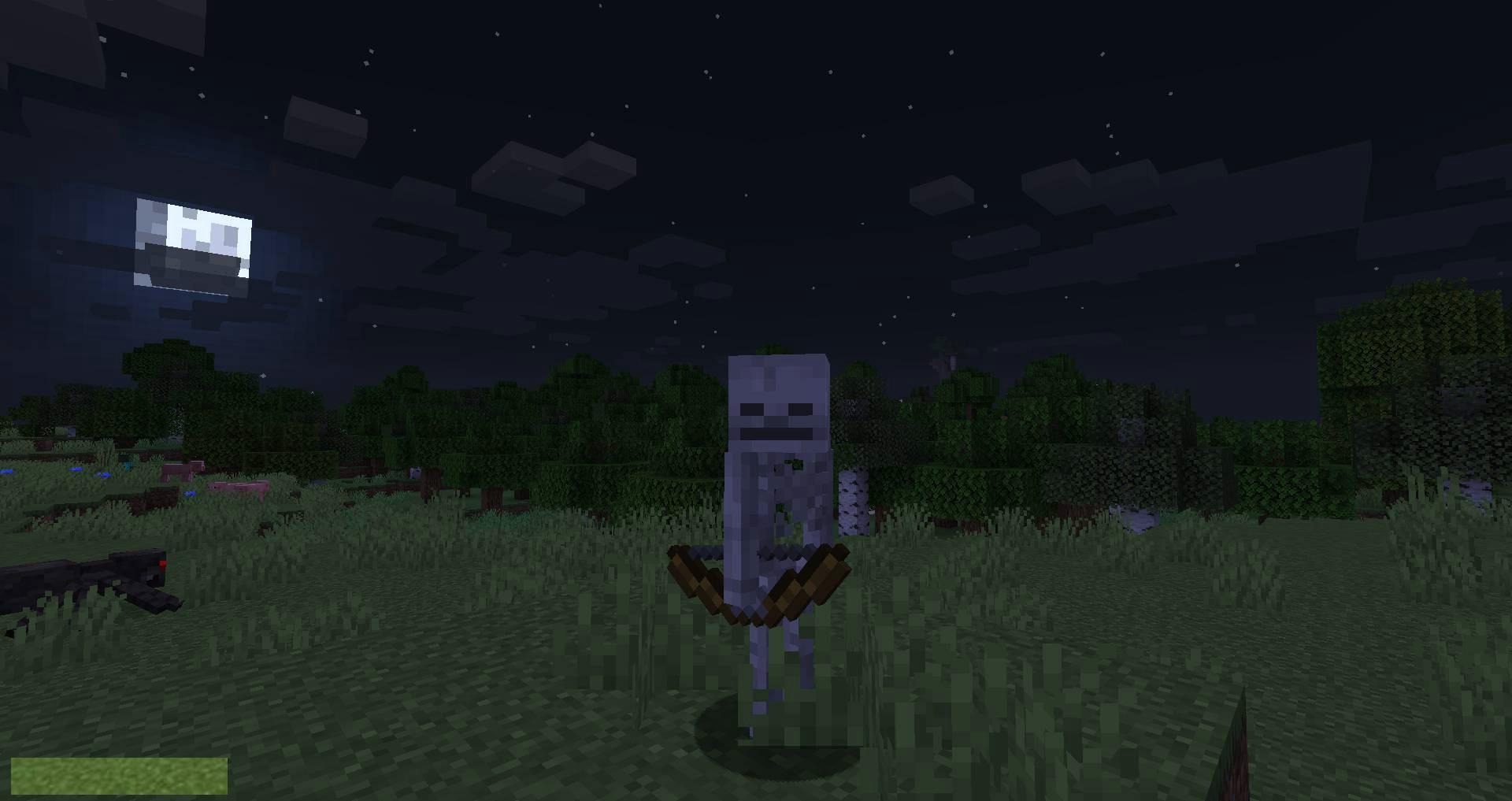 Stray-Spawn-mod-for-minecraft-02.jpg