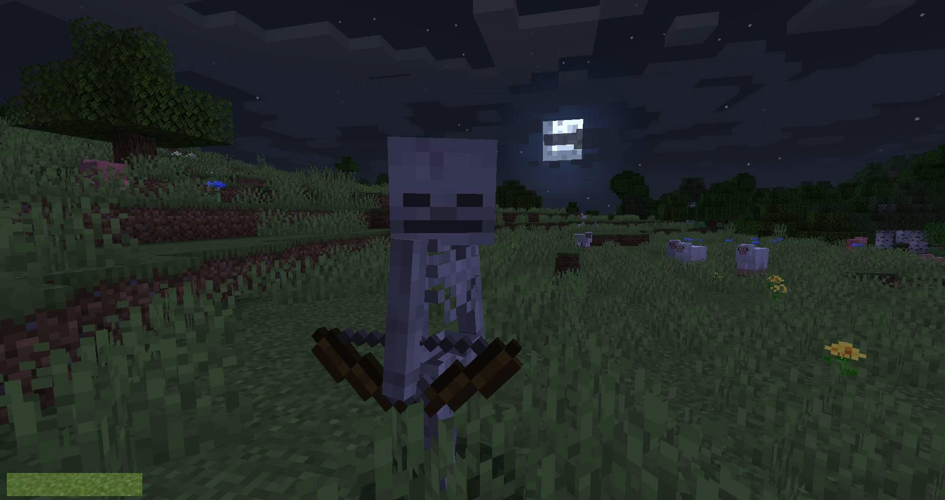 Stray-Spawn-mod-for-minecraft-01.jpg