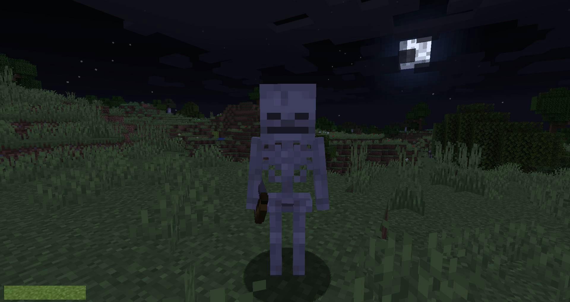 Stray-Spawn-mod-for-minecraft-03.jpg