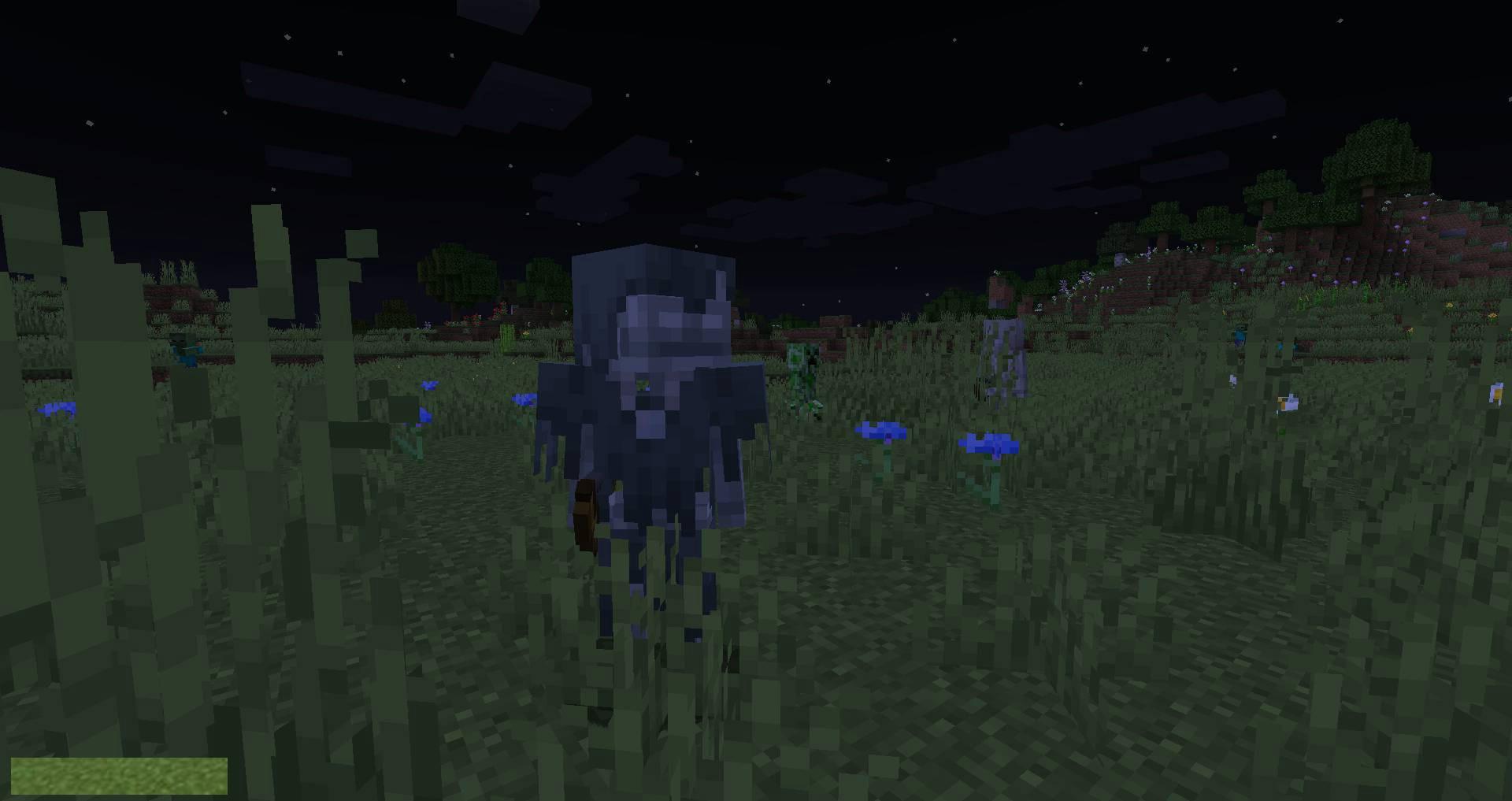 Stray-Spawn-mod-for-minecraft-07.jpg
