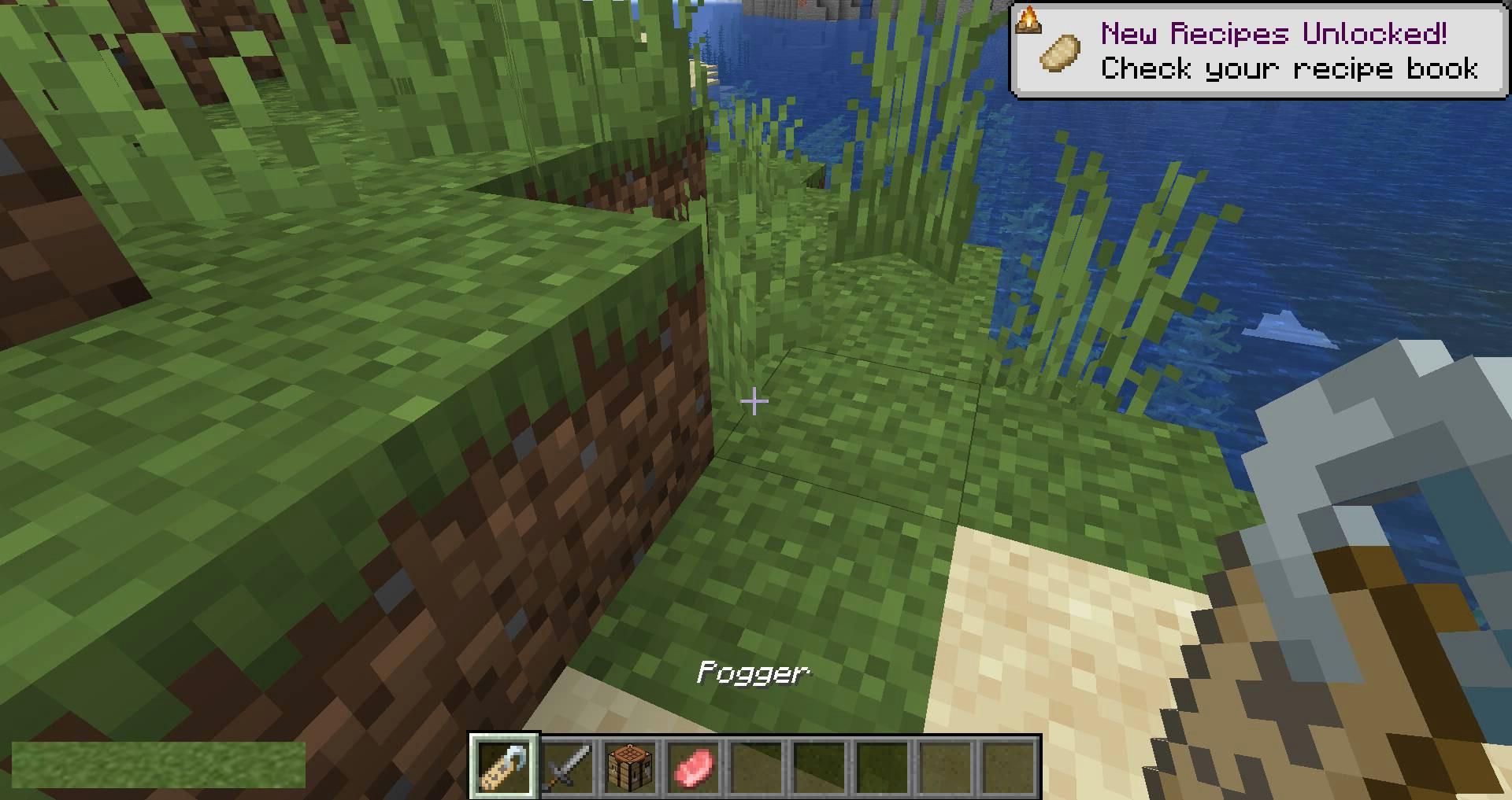 Name-Tag-Tweaks-mod-for-minecraft-10.jpg