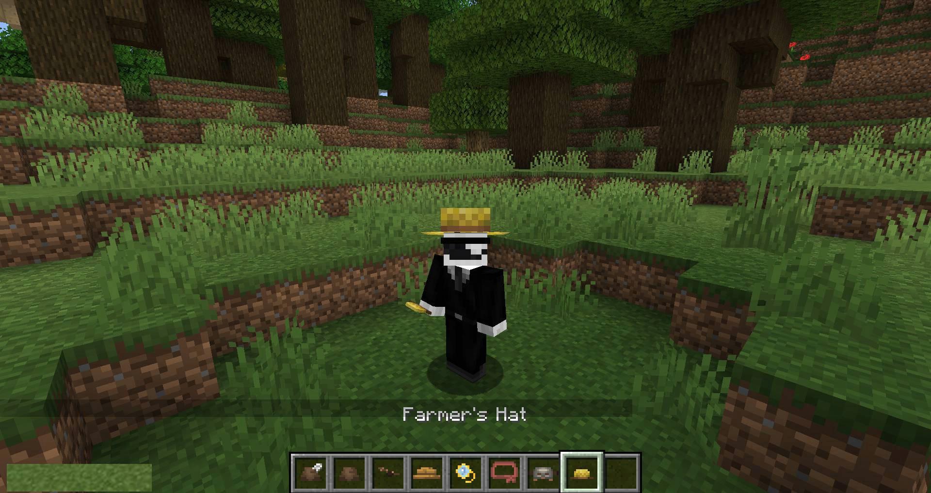 Villager-Hats-mod-for-minecraft-09.jpg