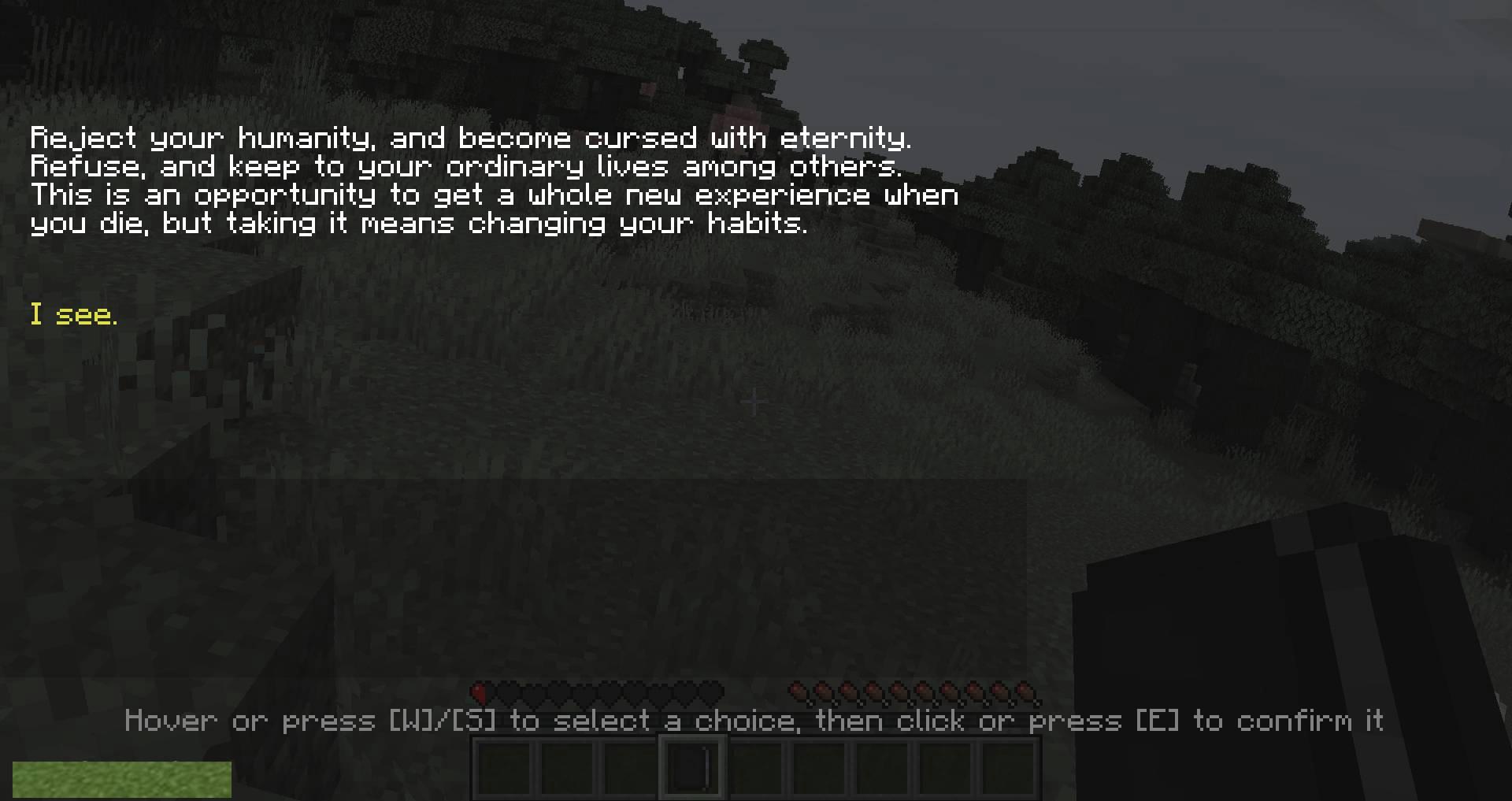 Requiem-mod-for-minecraft-04.jpg