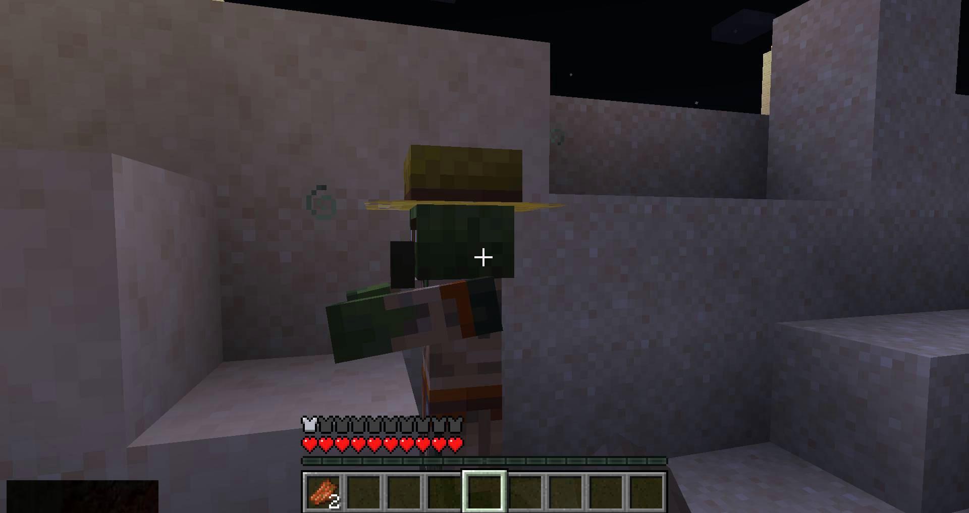 Requiem-mod-for-minecraft-14.jpg