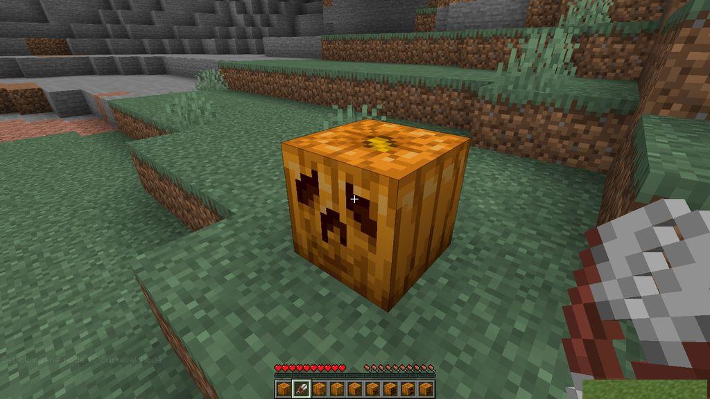 Oh-My-Gourd-Resource-Pack-Screenshots-2.jpg