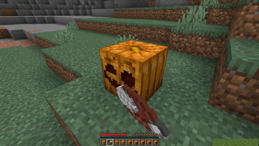 Oh-My-Gourd-Resource-Pack-Screenshots-3.jpg