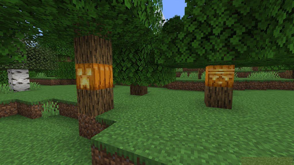 Oh-My-Gourd-Resource-Pack-Screenshots-7.jpg