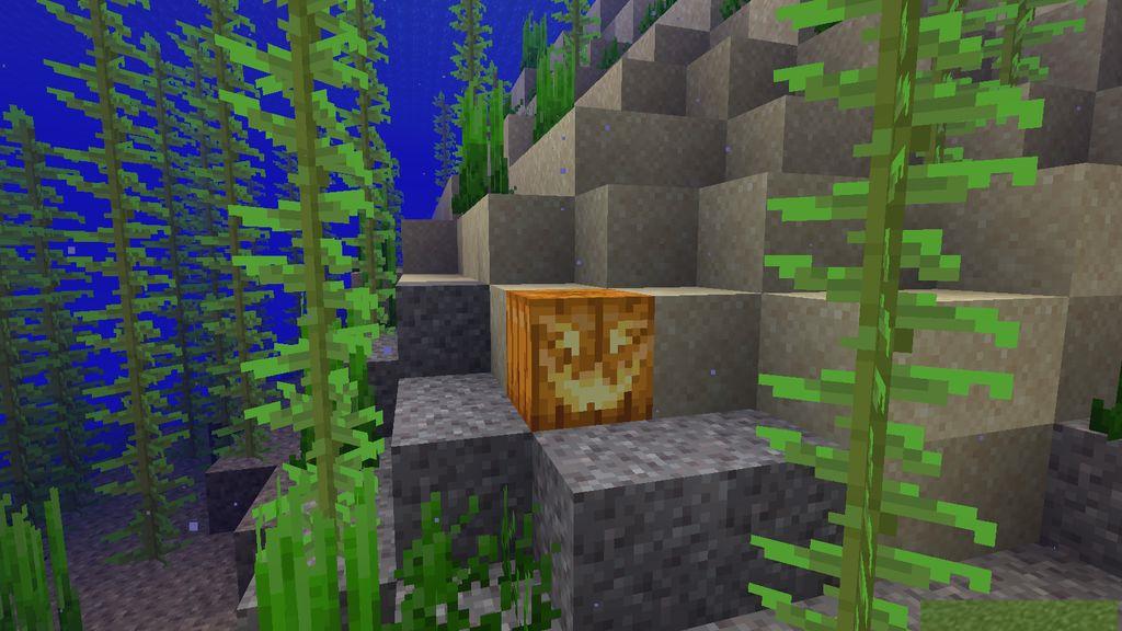 Oh-My-Gourd-Resource-Pack-Screenshots-9.jpg