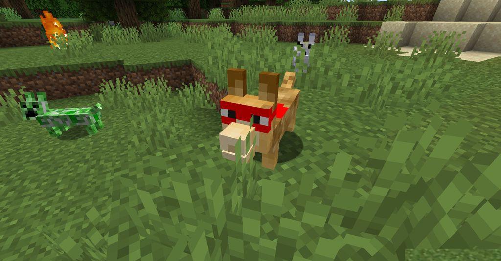 The-Corgis-Mod-Screenshots-1.jpg