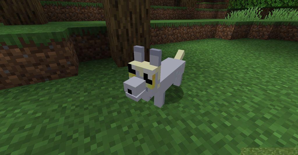 The-Corgis-Mod-Screenshots-4.jpg