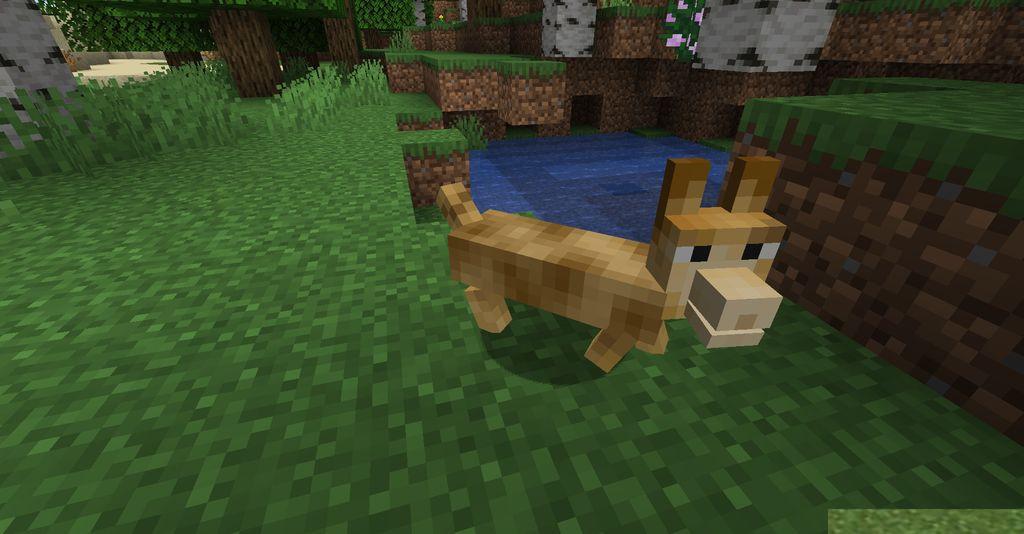 The-Corgis-Mod-Screenshots-6.jpg