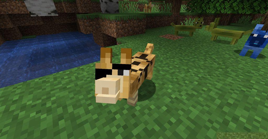 The-Corgis-Mod-Screenshots-8.jpg