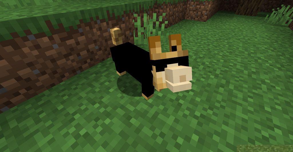 The-Corgis-Mod-Screenshots-9.jpg