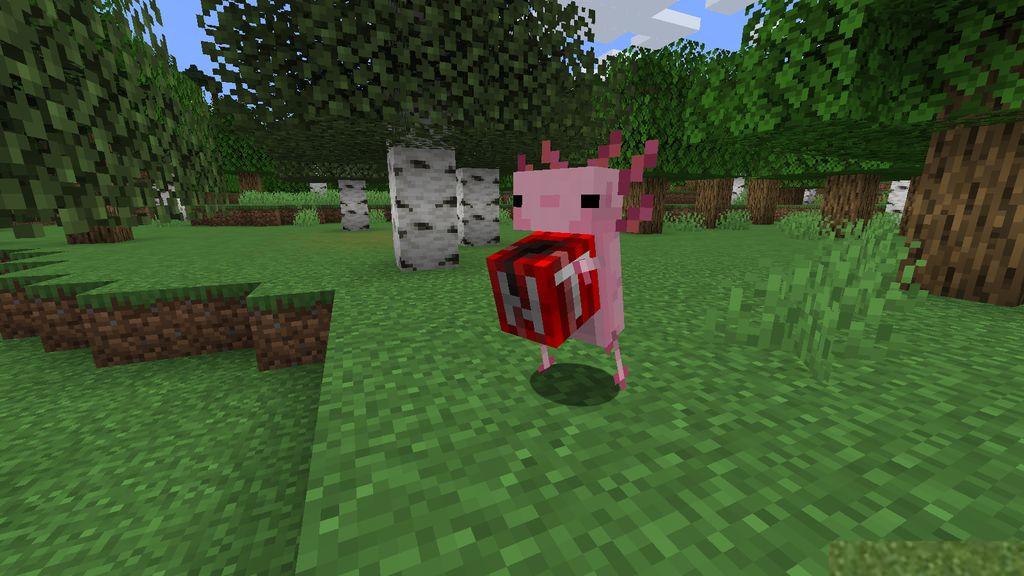 Axolotls-Mod-Screenshots-2.jpg