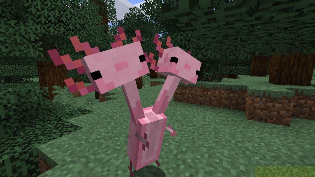 Axolotls-Mod-Screenshots-12.jpg