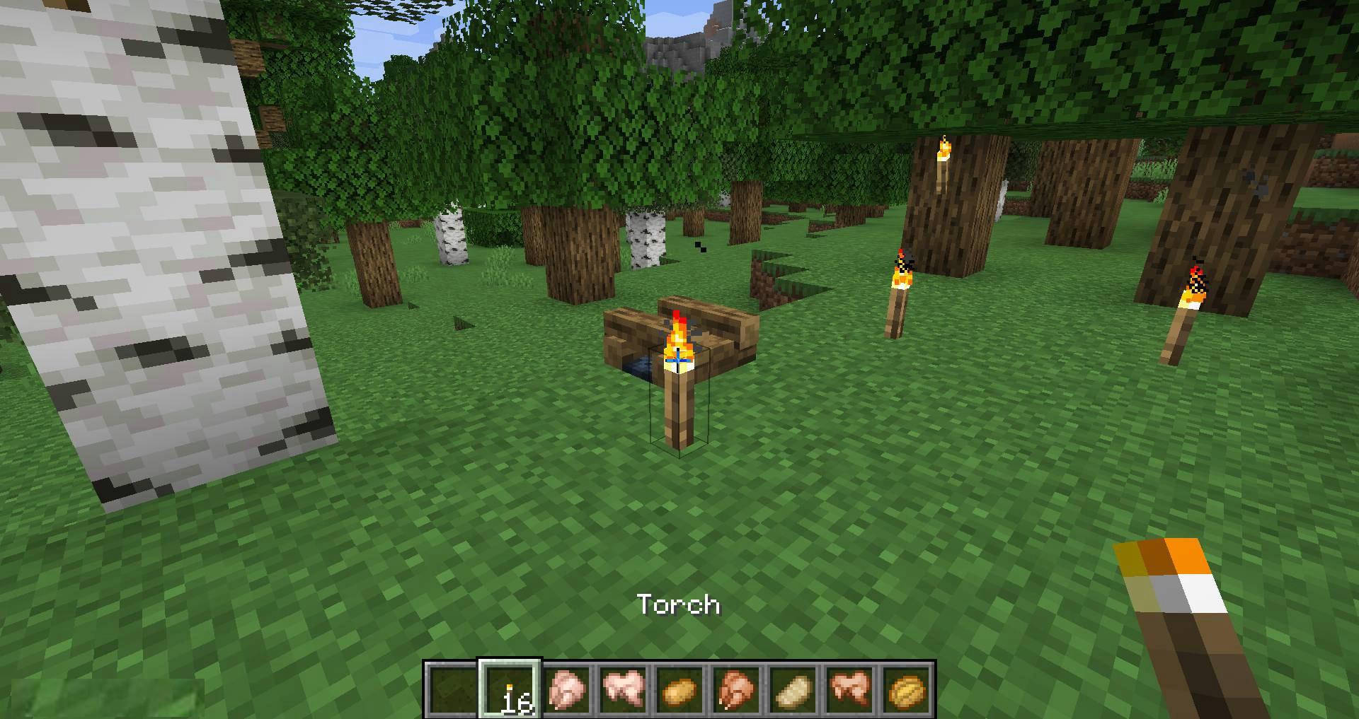 Campfire-Torches-mod-for-minecraft-10.jpg