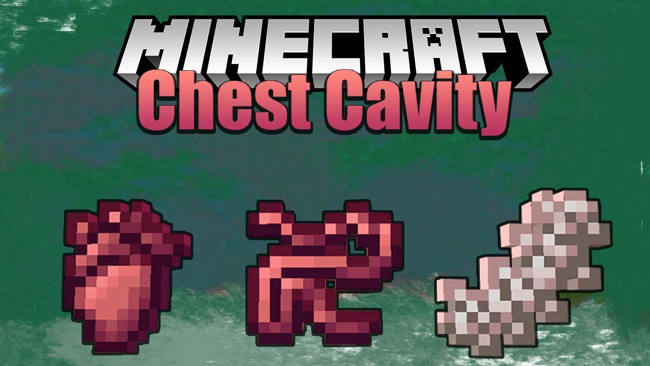 胸腔（Chest Cavity）|我的世界1.16.4版本