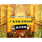 （以四神鼎之怨攻略2药）药物疗法与中草药结合，重塑身心平衡的奇迹