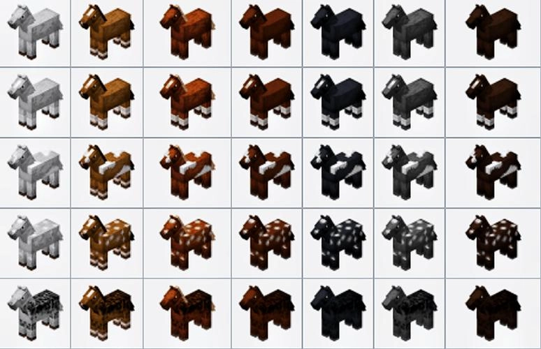 我的世界1.6.2“马匹更新”深度解析：驯服、探索与生存的终极指南