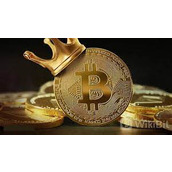 所以专心做股票质押就好