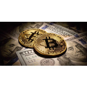 tokeninsight btc