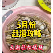 （北海赶海攻略）北海赶海攻略技能，让您成为赶海高手 - 心得分享 - 游戏攻略港