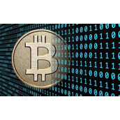 派币最新消息
